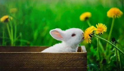 爱游戏体育-体育赛事集中展开，足球风采引人注目，体育足球比赛时间表