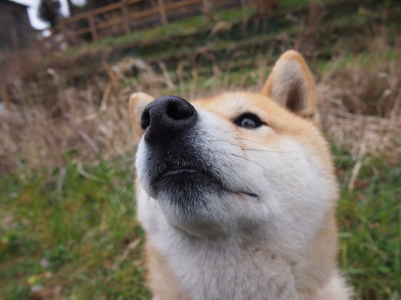 “法甲豪门奋战，冠军归属悬念未减”，法甲豪门有哪些球队