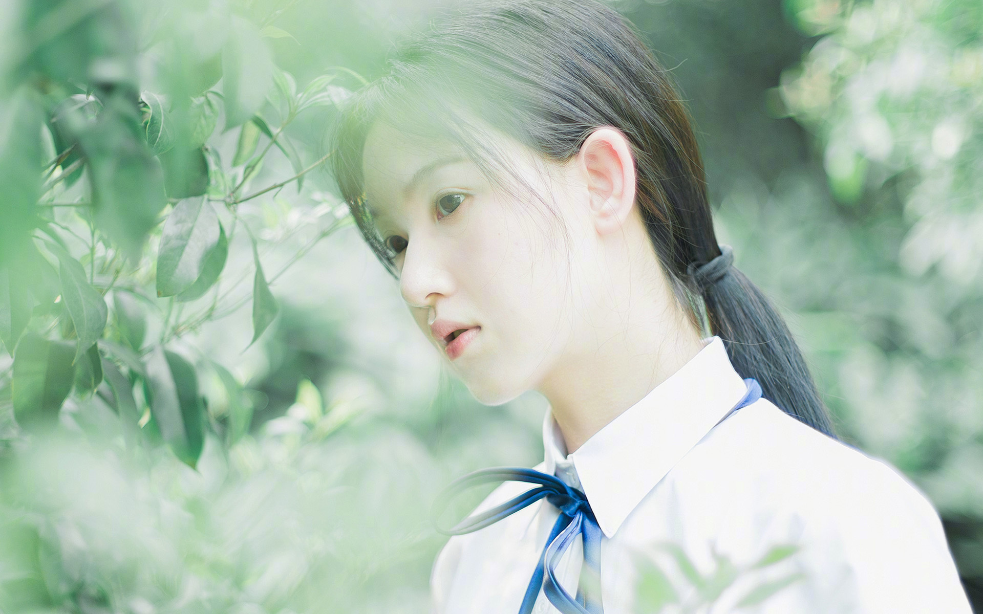 【Juan Soto的猛攻】教士核心打出连续多击