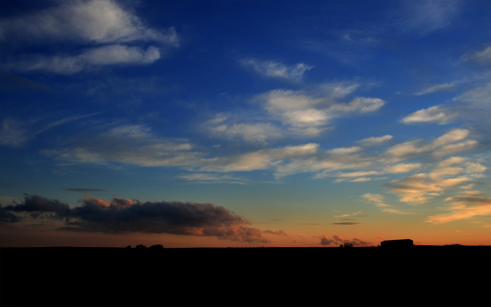 国际马术比赛,骑士与马匹的优雅舞蹈,骑马比赛的视频