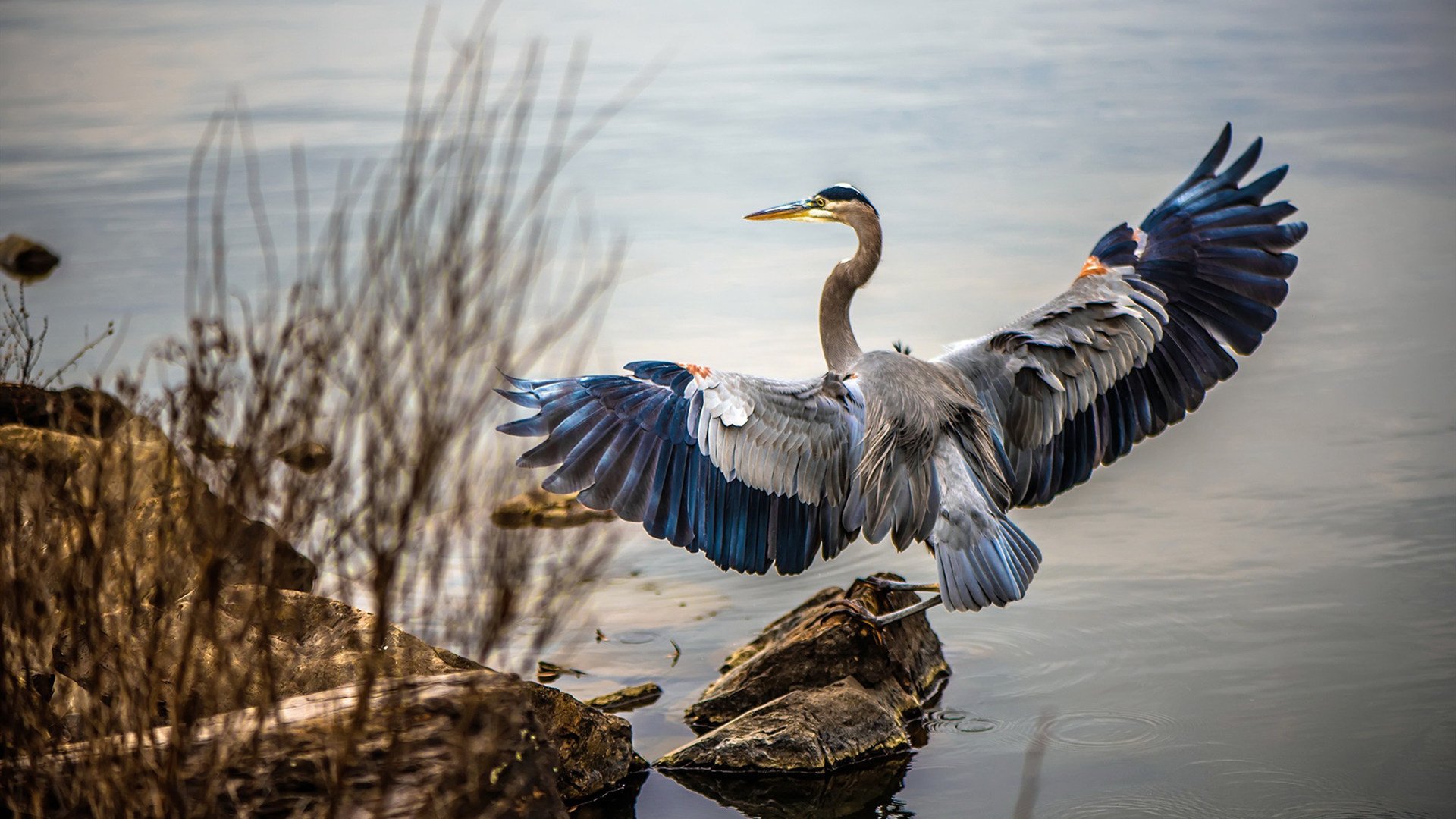 终场哨声响起:意甲激战换谁笑到最后?,足球终场哨响进球