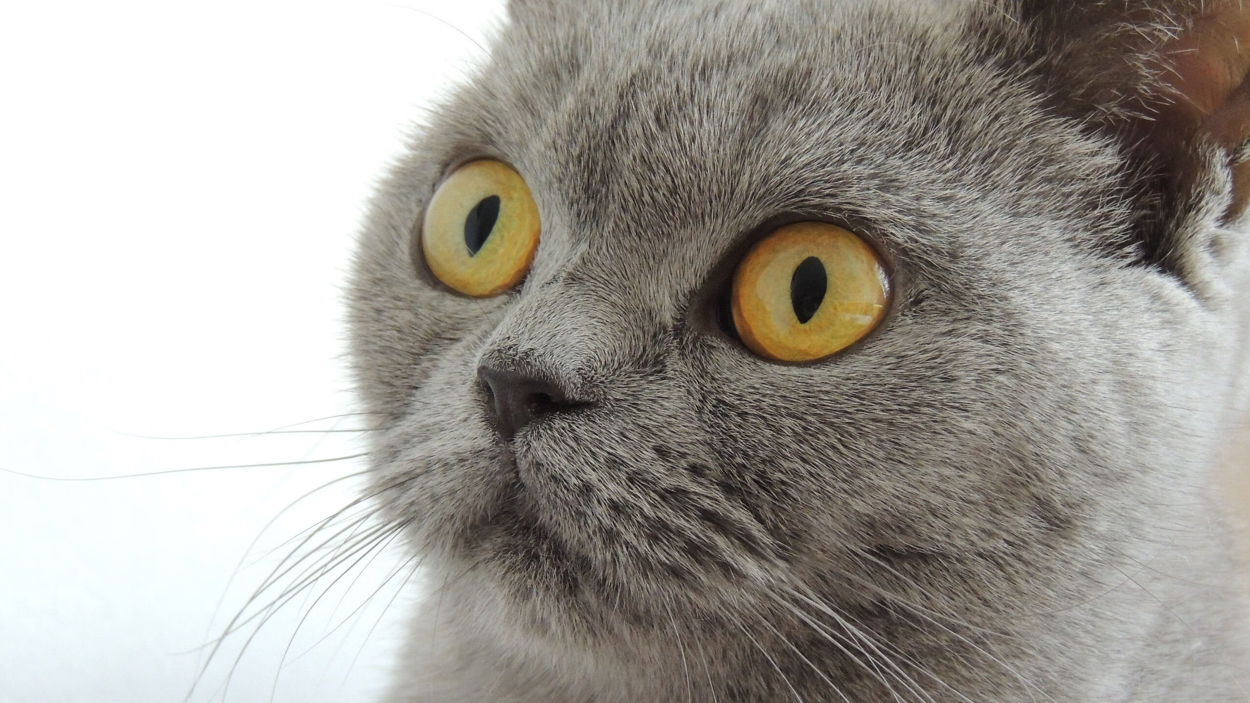 AYX GAME-马赛球星引发转会传闻，马赛历史著名球星