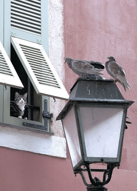 爱游戏登录入口-马德里竞技精细战术，继续领跑，马德里竞技怎么描述