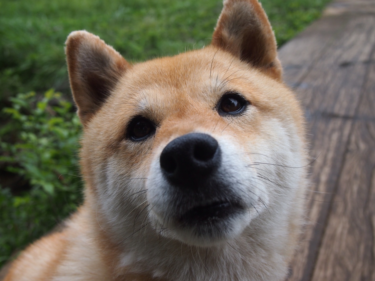 爱游戏app-勇士主场大胜，击败快船保持不败纪录，勇士主场大胜,击败快船保持不败纪录的是谁