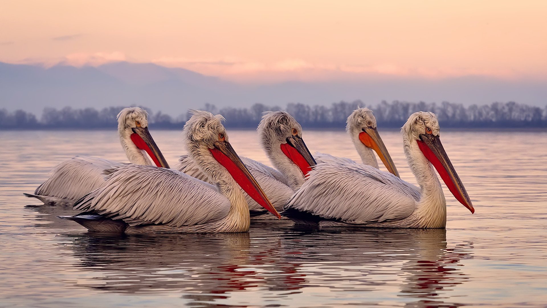 爱游戏综合娱乐-教练更替后首战胜负是否决定信任周期长短，主教练换人