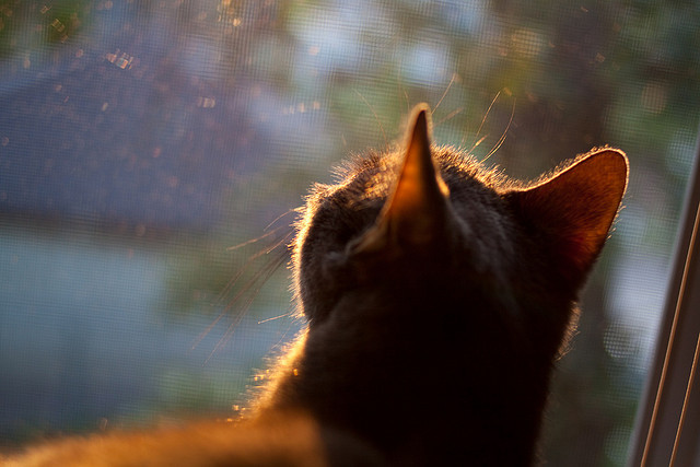 热火球迷期待球队在休赛期进行积极操作,热火队球员2021交易信息