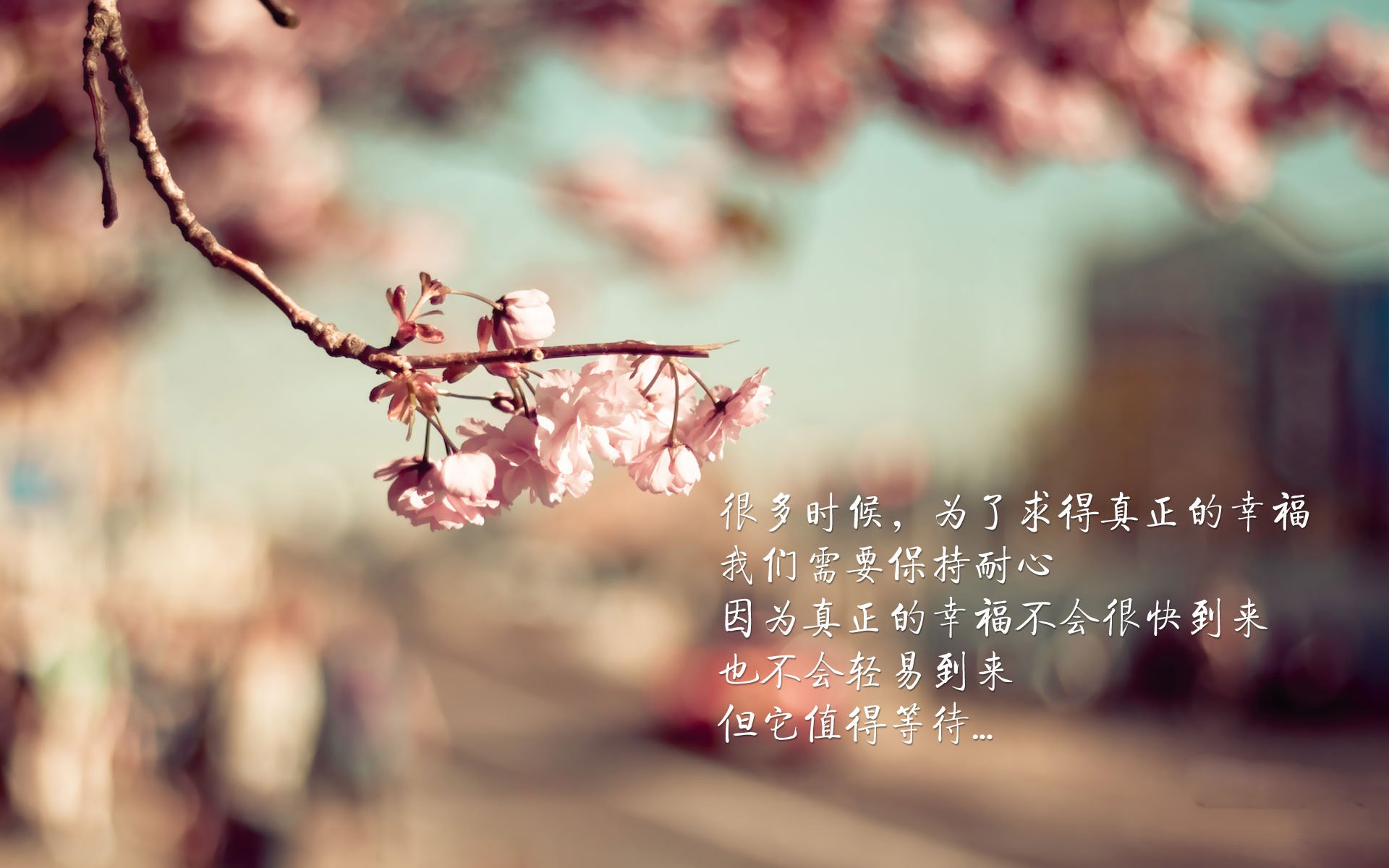 爱游戏娱乐-电竞战队管理中的人才选拔与培养机制，电竞战队管理中的人才选拔与培养机制包括