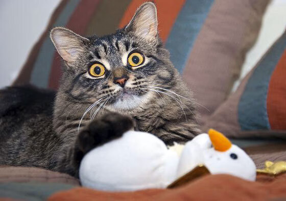 爱游戏娱乐-电竞城市引进专业电竞培训机构，电竞职业培训学校