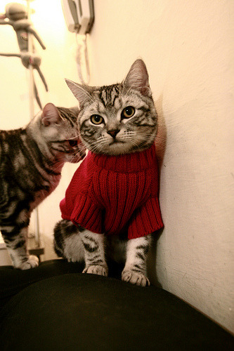 爱游戏体育-美因茨获得宝贵三分，摆脱降级区，美因茨换帅