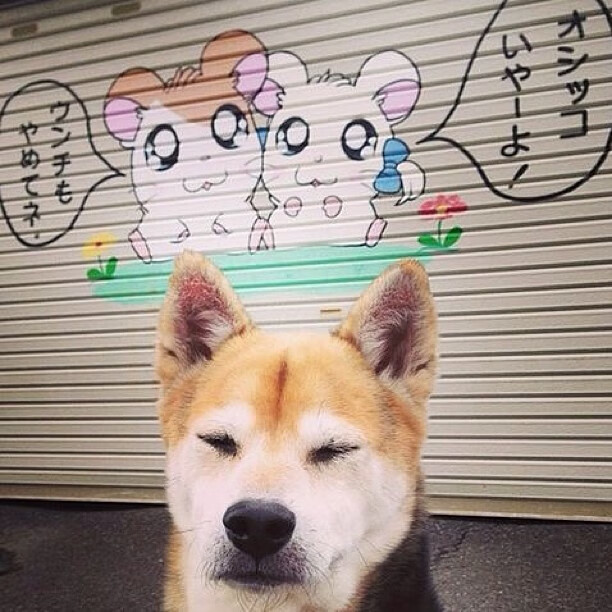 阿联酋阿尔艾因主场战胜对手,阿尔艾因足球俱乐部