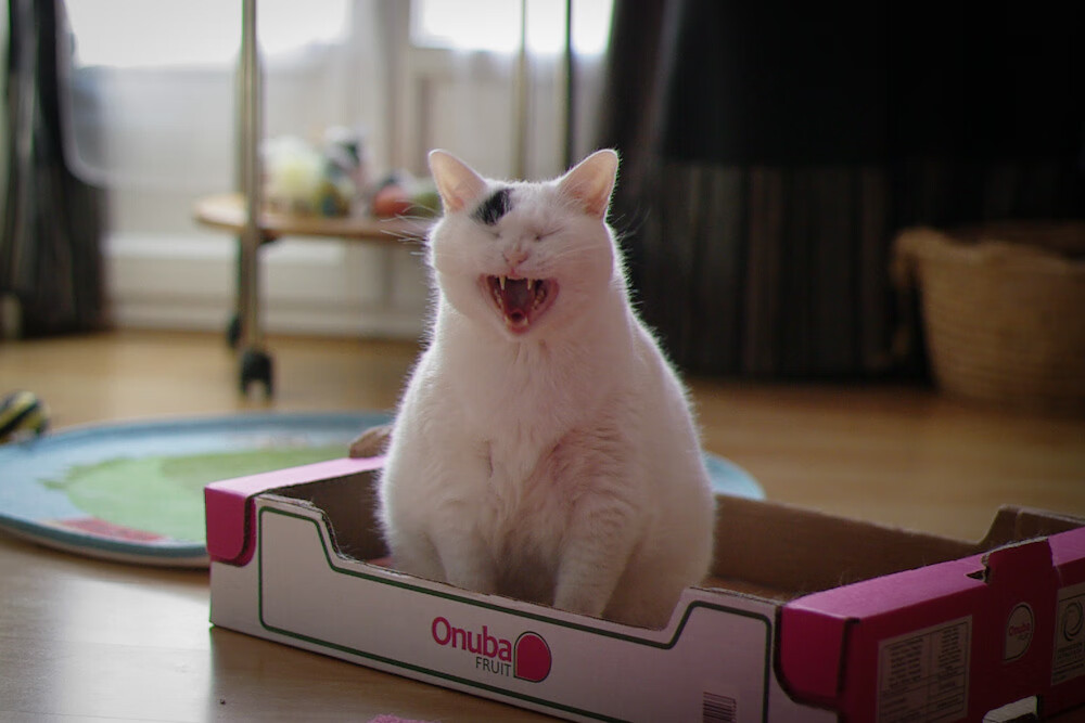 AYX SPORTS-韩国星际争霸赛事与文化融合发展，韩国星际争霸球赛