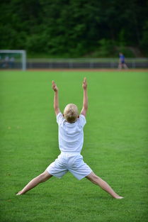 爱游戏官方网站-高校体育专业课程体系动态调整研究，全国普通高校体育教育专业课程方案