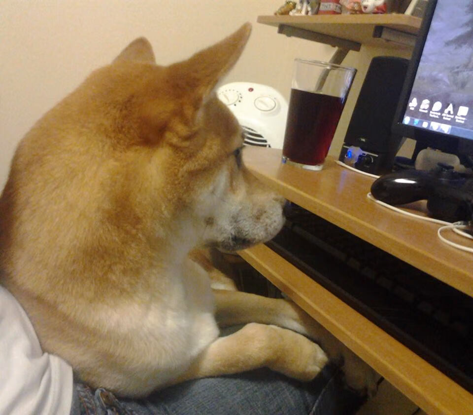 CBA赛季复赛安全措施得到高度评价,cba2020复赛季后赛规则