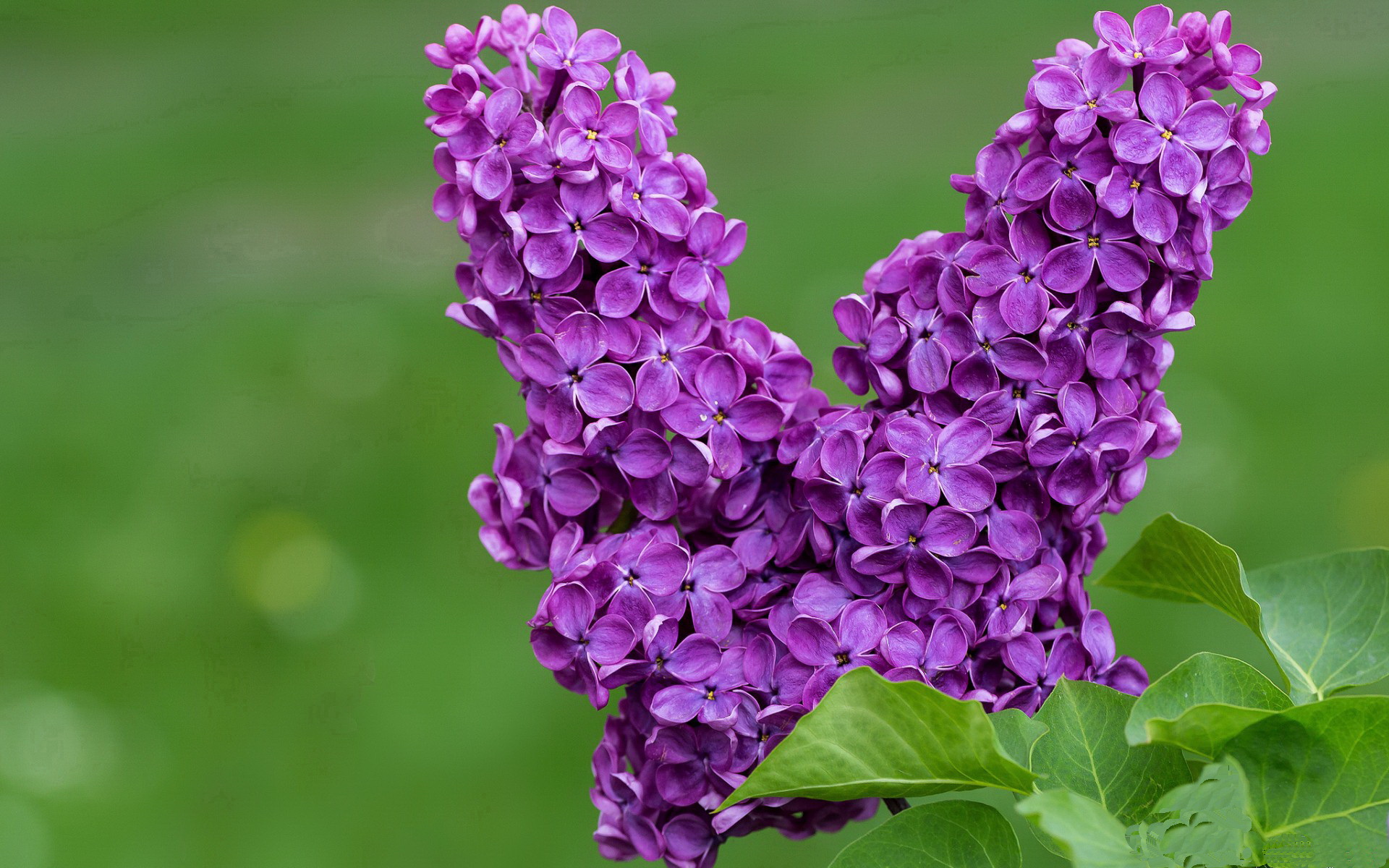 爱游戏体育（AYX）官方APP下载-“湖滨赛场：龙舟与跑酷的跨界碰撞，让运动更精彩”