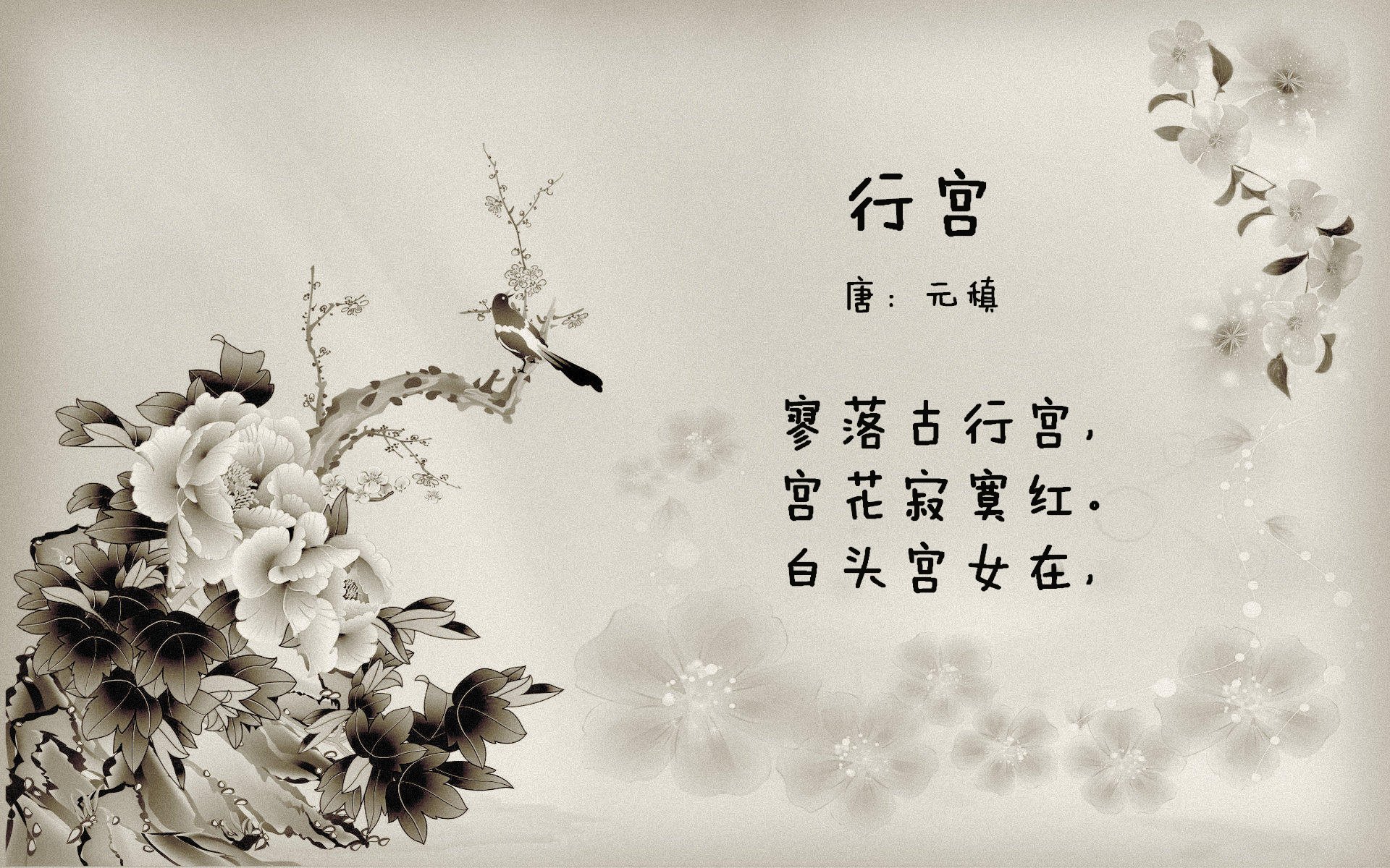 中立B选手该项目分段表现逐步改善,比赛中立是什么意思