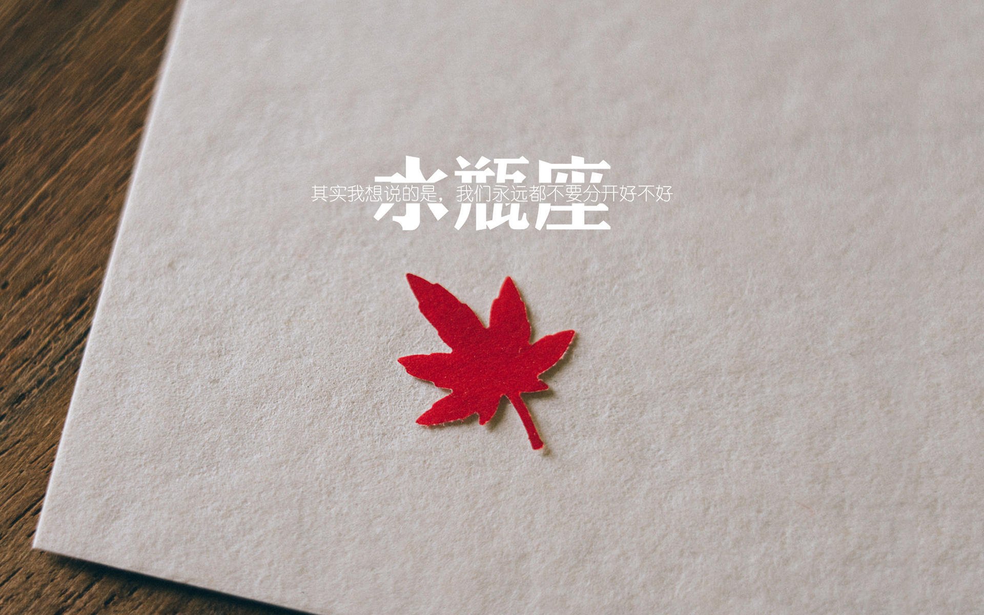 国家队在亚洲杯中夺冠 激烈对抗感人至深,亚洲杯参加国家