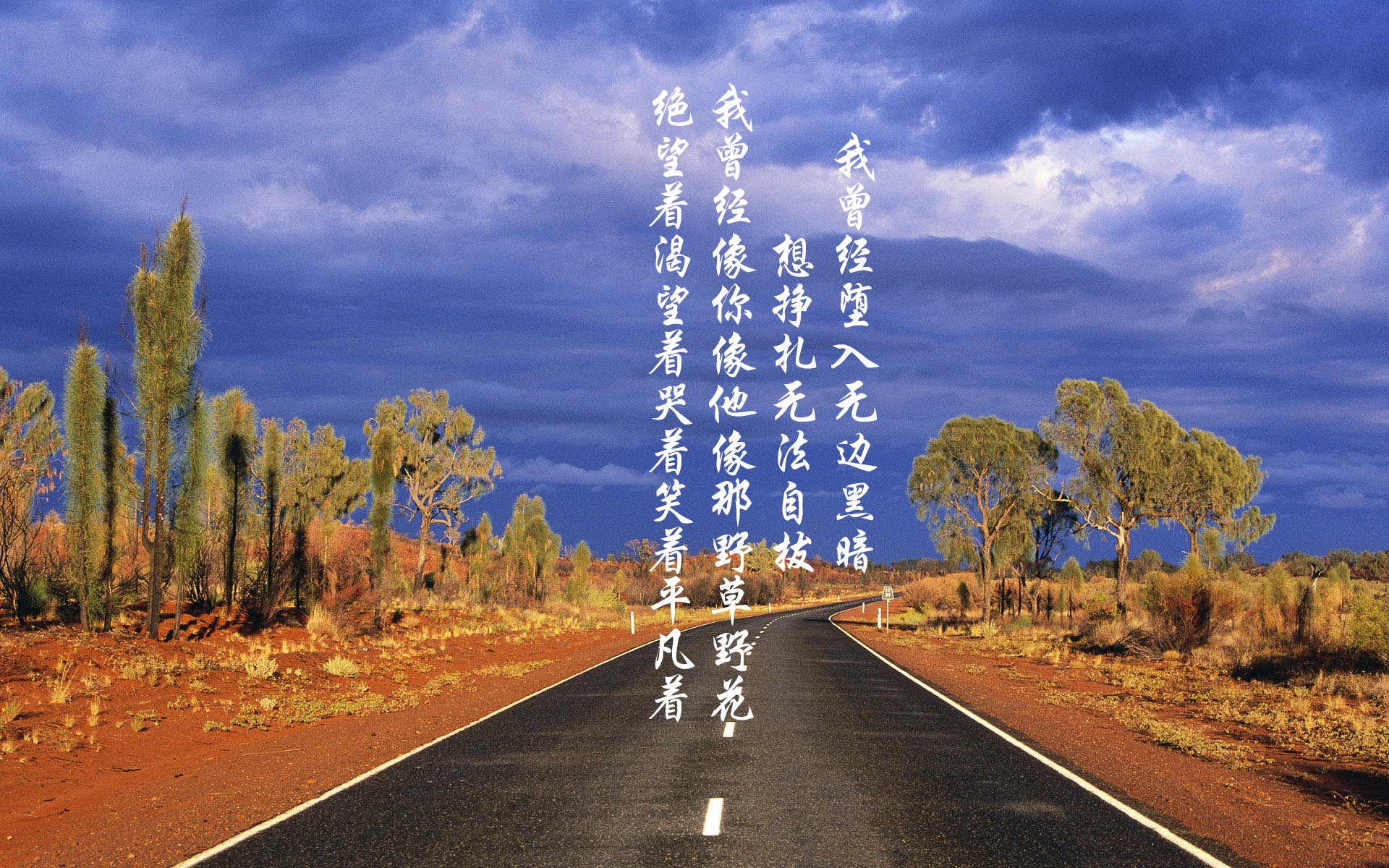 AYX GAME-世界足球冠军联赛决赛精彩上演，豪门对决激动人心，世界冠军足球队