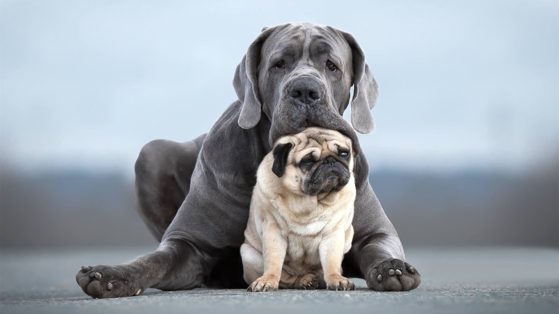 爱游戏娱乐平台-多国队伍参加2026年世界杯预选赛，竞争激烈异常，2026年世界杯预选赛亚洲区