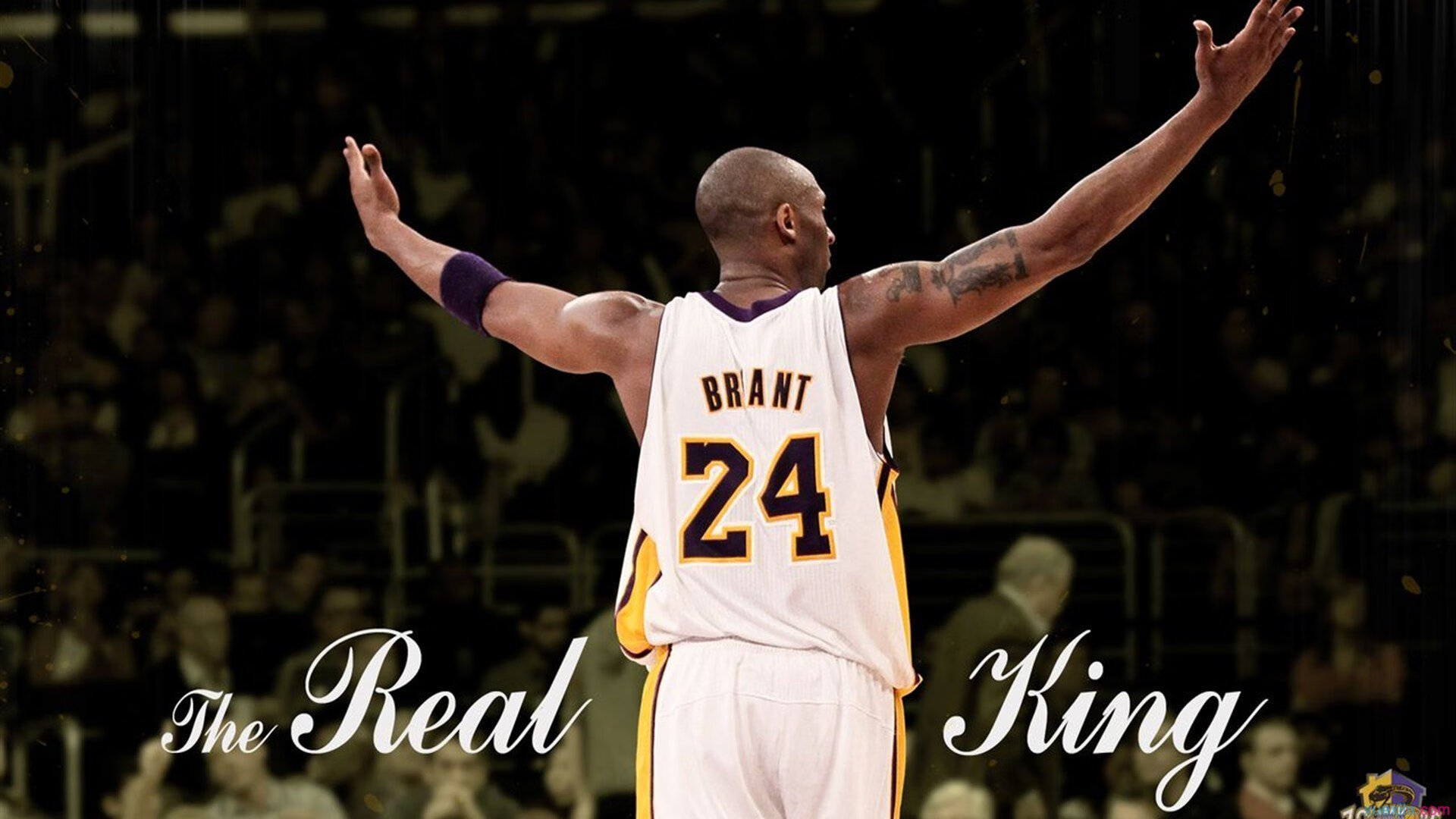 _火箭队迎战强敌，奋勇争胜_，火箭队伍