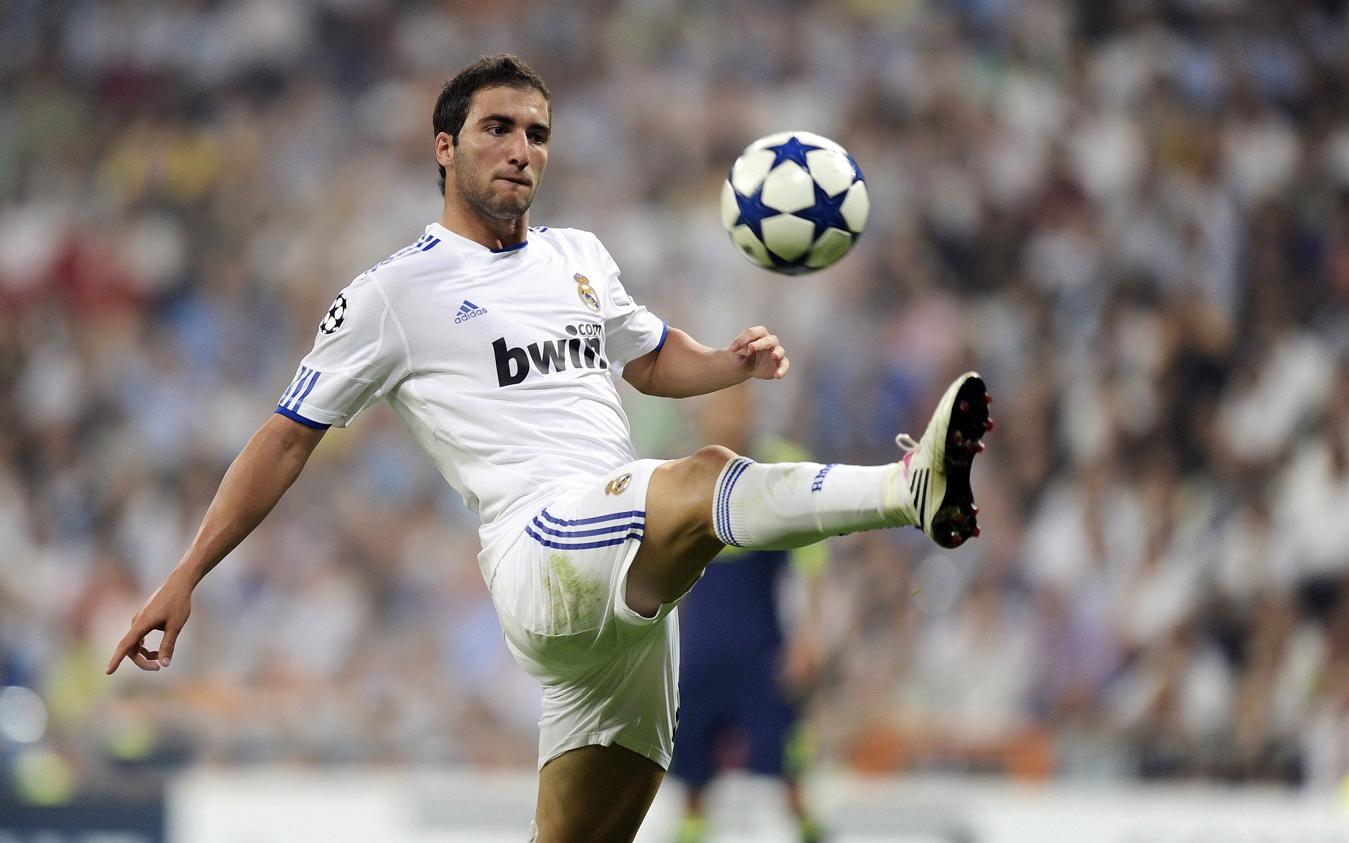 摩洛哥马术协会与非洲马术协会开展技术援助项目，提升当地水平。